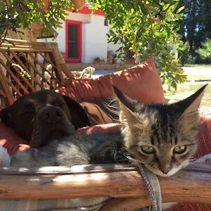 Otel Dane Gokova, Akcapinar (Mugla)